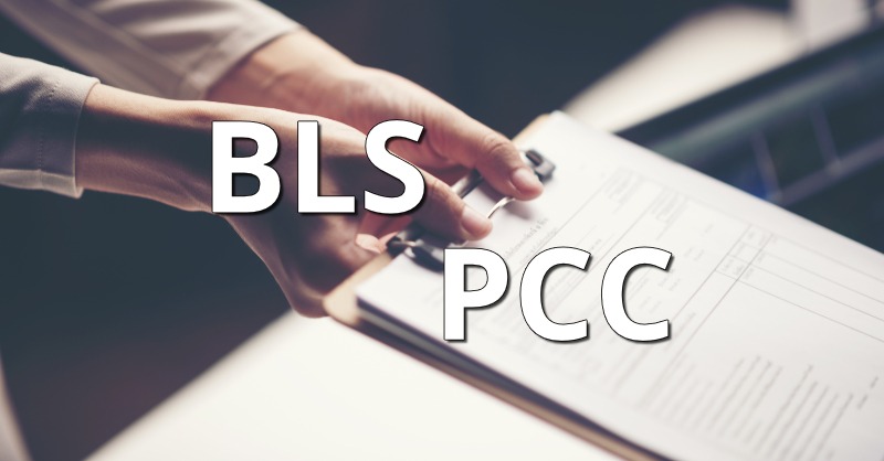 Read more about the article How to apply PCC through BLS – Step by Step